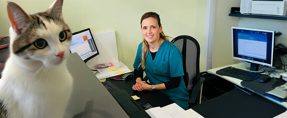 Herzlich Willkommen auf der Internetseite der Privatpraxis Dr. Anette Othmer, Fachärztin für Innere Medizin und Gastroenterologie in Hannover.